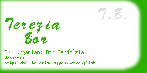 terezia bor business card